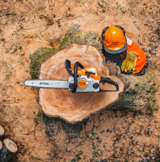 Service de Bûcheronnage et Abattage d’arbres & Location d’Équipement