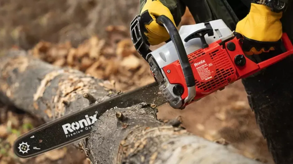 Service de Bûcheronnage et Abattage d’arbres & Location d’Équipement